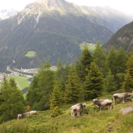 Ferienwohnung Familie Hoefler Langenfeld Bagian luar foto